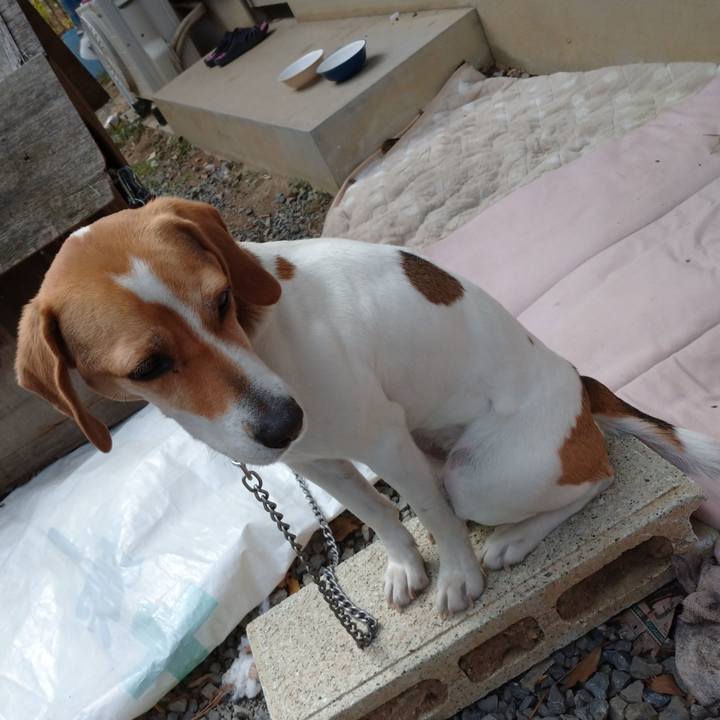 7418e7a2 f676 47e4 a1ae 1c5310d4e1ed 1583213798848