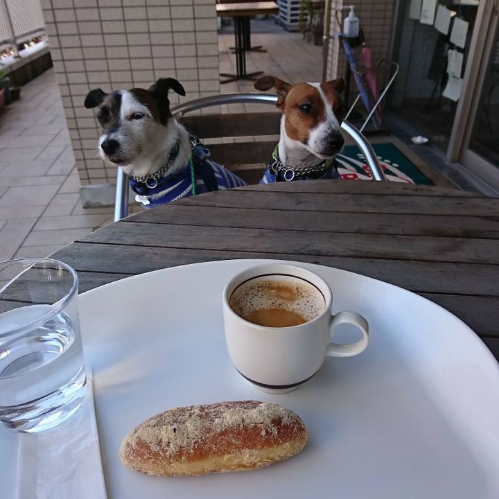 74190428 e63b 4210 ab9d 9e3834282287 1585018622436