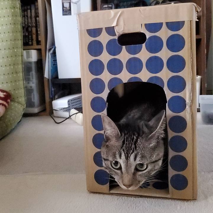 7419044b eb18 456c 93f0 f3c667052d2f 1697941543149