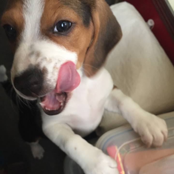 7419203b f126 4342 8520 166db701708c 1513598276854