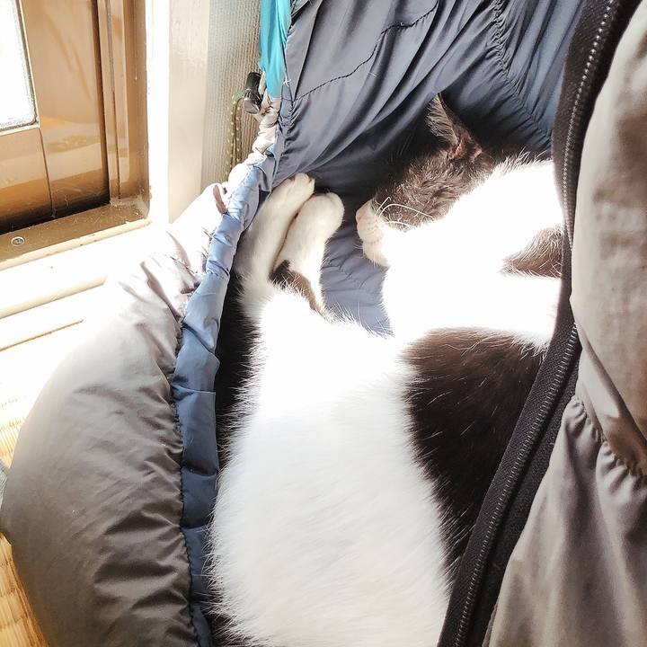 741924a2 592a 4597 b8df fa0c6798b006 1634774365769