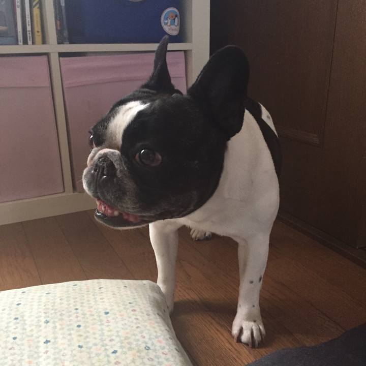 74192670 28c2 4411 a302 0be03b4aaae2 1525694189032