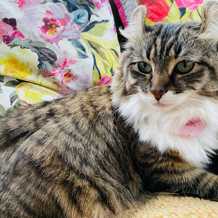 741934a2 4b5d 4507 8786 dd4633605ced 1604935846354