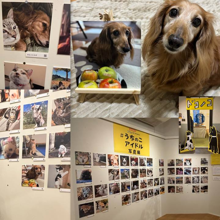 74193833 81b0 490c 9389 4514fd721c9c 1765977787347