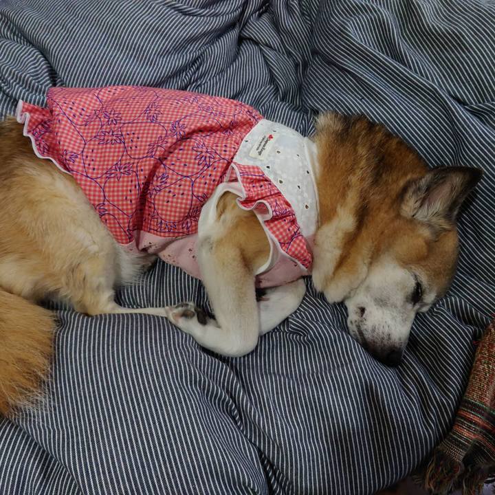 74193a19 e642 42fc 9b25 b9d7e1cdb6c6 1724914362376