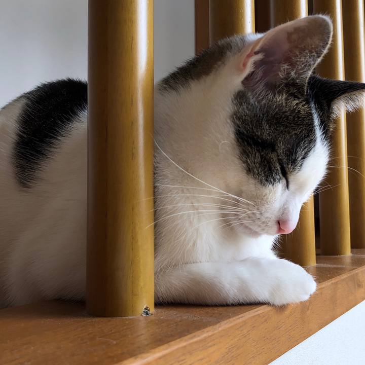 74194c88 fed5 43ef 9a6d e4ca7c41ebcb 1616471499795