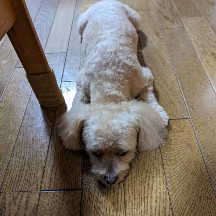 74199346 ee56 47a3 b21f 574a79d82428 1662889697474