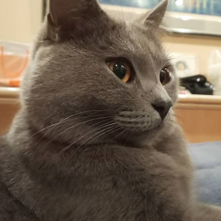 7419a8b0 0a75 49ce be4d 2be08920803f 1539690417702