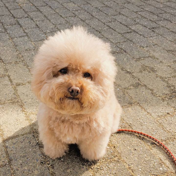 7419ad9d 913a 4761 9f53 827b94475cb4 1515984119501