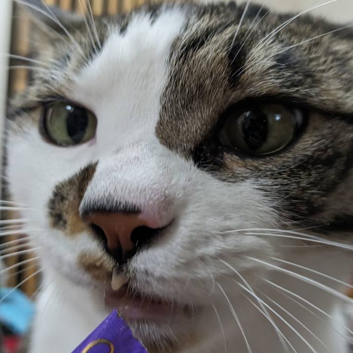 7419bd9f 06c1 4572 876f 1d7959f6572d 1714293676111