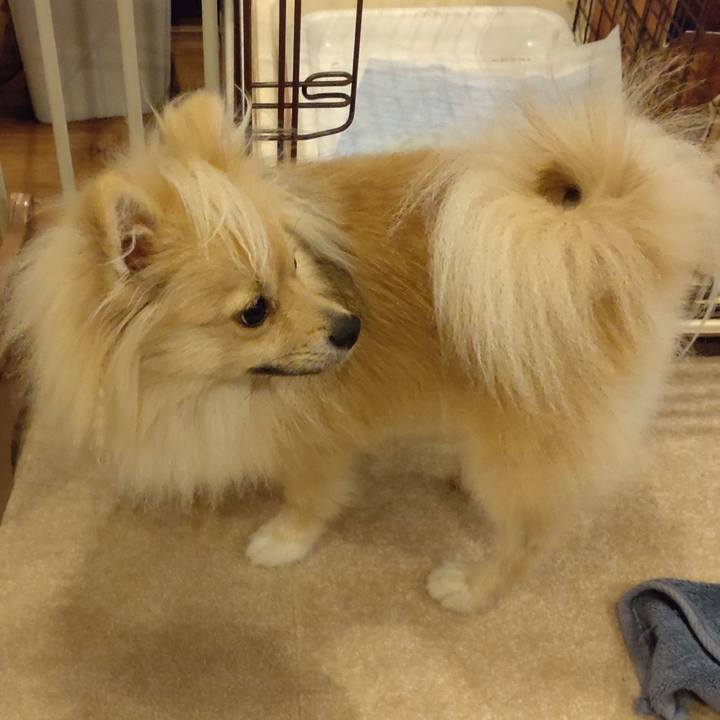 7419e2e7 d717 4d31 bfc2 47a4de402144 1752398685139