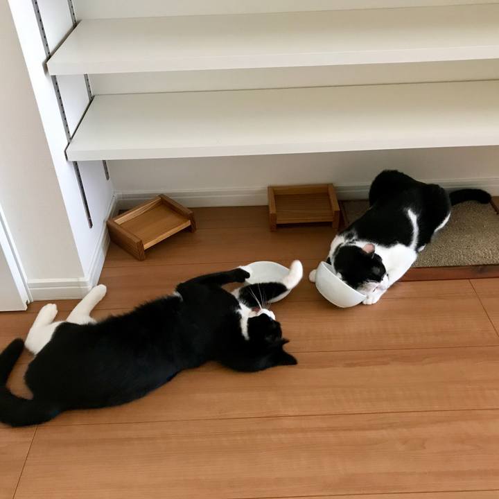 7419fff3 594d 45e5 a336 39be153e7f14 1533289491108