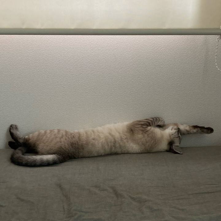 741a04a8 fc11 4765 b5af 612309db05fe 1628730468094