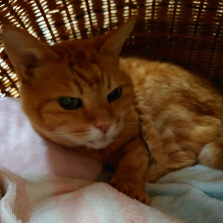 741a14fe 1b00 4647 aea5 9408b894158a 1747460296020