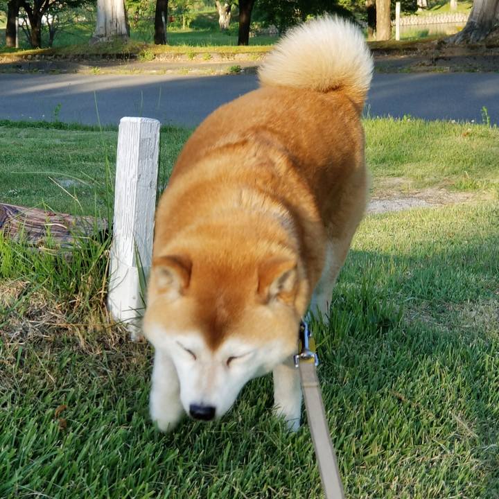 741a1f02 712a 4e76 93b9 e7a40301a5de 1623228104336