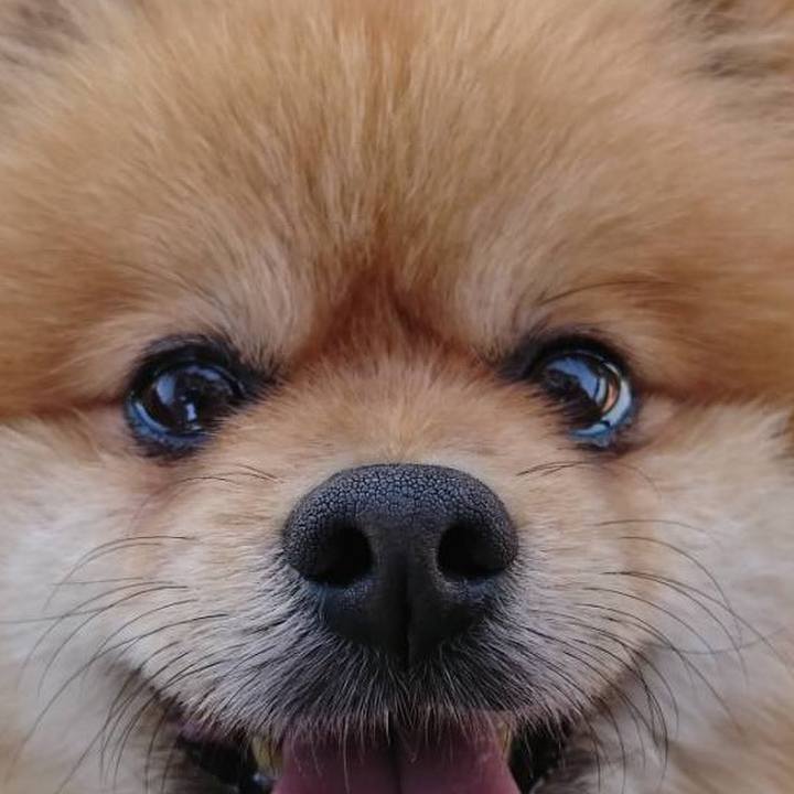 741a2f09 00d9 4f9f 95a7 f1f7d57118a4 1524405071191