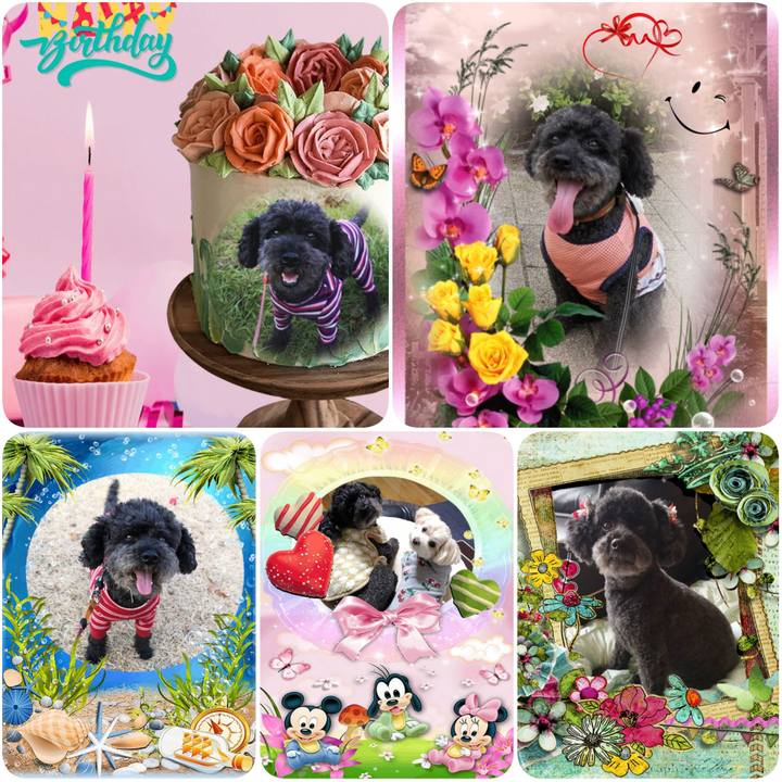 741a30ea 3e44 4cf4 985a 6926a229e8a8 1593573784476