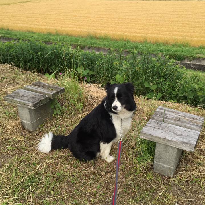 741a54fc 2e36 4369 92b7 3d58238a1916 1527202351367