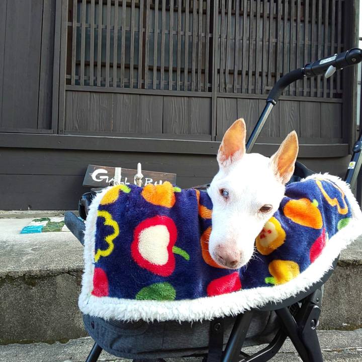 741a5eb6 6031 4700 91a9 3e801aebc063 1603235627734