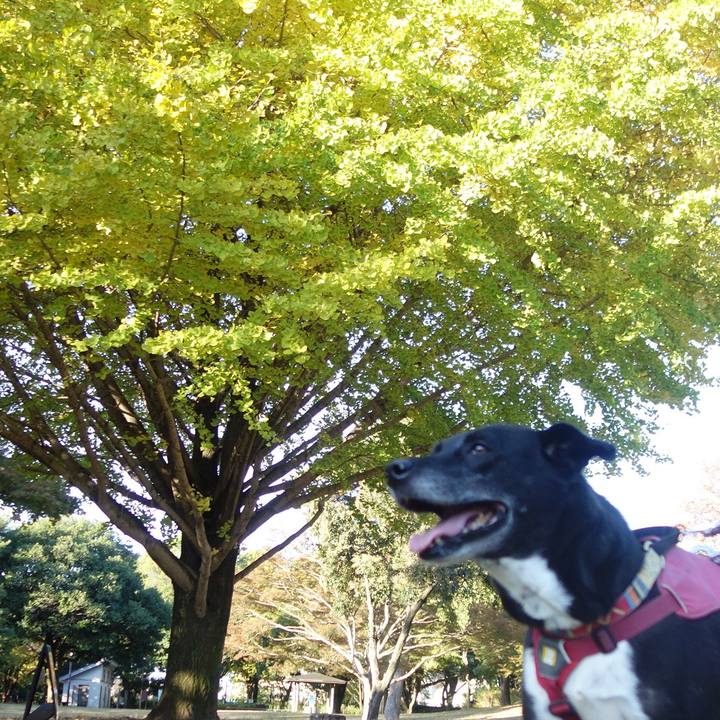 741a625a 8b3b 432e a86f eef4b913f7cf 1700529140388