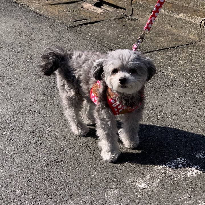 741a77fa 381f 4a21 b512 9fee7ae5cb37 1553407730884