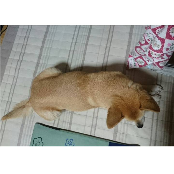 741a8d20 e298 41cf ab21 257e74504045 1572093880416