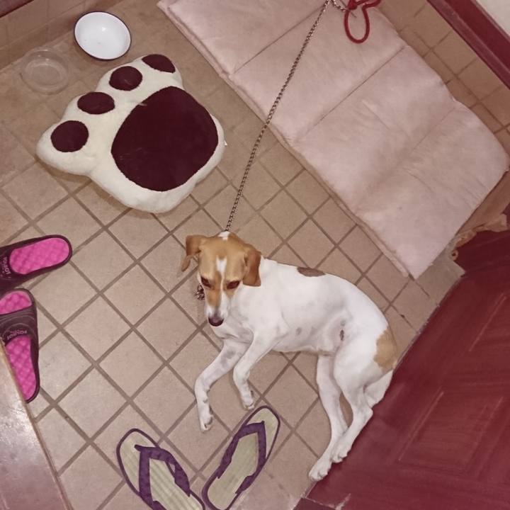 741a9f4c bc2a 4323 98e1 0d27bc1a2861 1564060795103