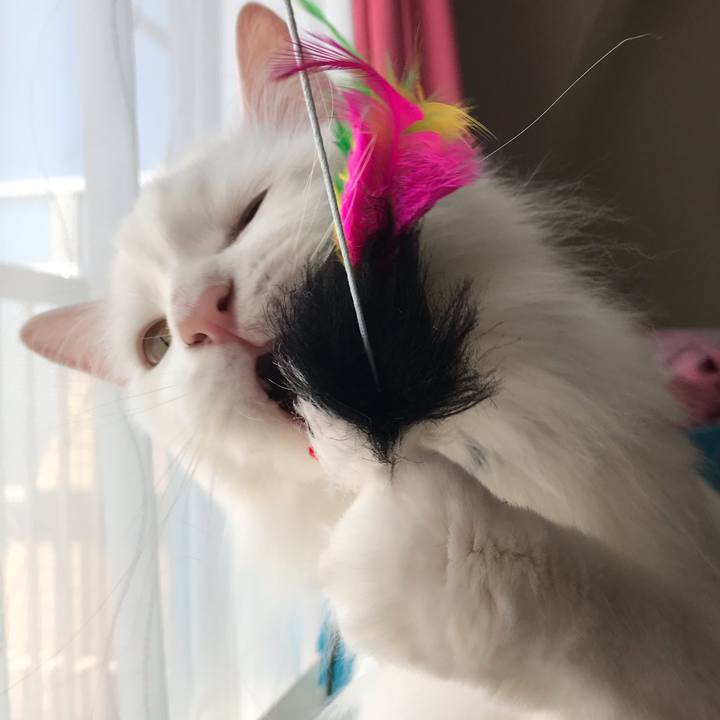 741aa030 c5dc 4409 81f2 cf3281923902 1556874384459