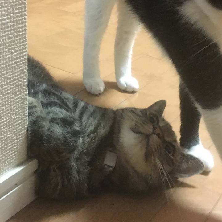 741ac1bc 8338 4c92 aef0 4203483e6818 1593952170741