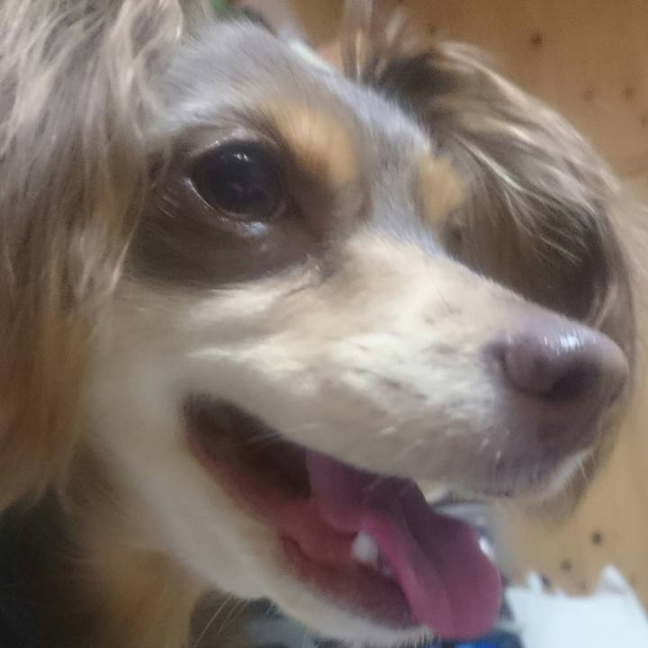 741acde2 6735 405b ac92 64c8d10d59b0 1521546425977