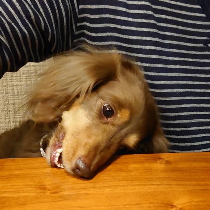 741b0bb2 d5d3 4ace a91b 041181aff262 1680788188774