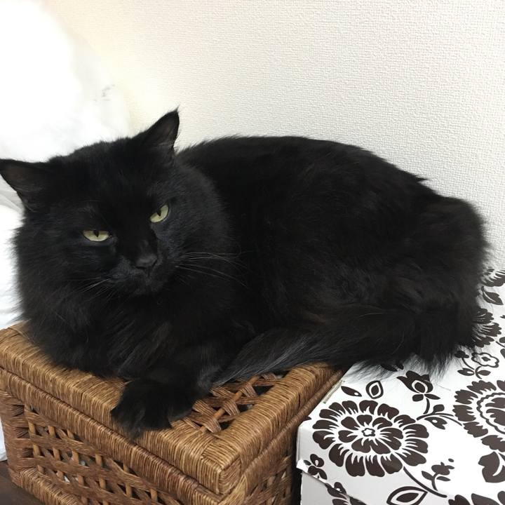 741b381d 3c18 4348 a206 c8ebdad98c8d 1541234354846