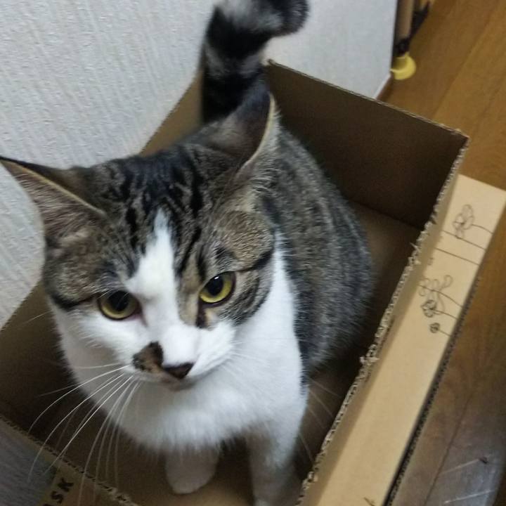 741b4d1e 23db 4a8e bd77 29035dc9d248 1622545505013