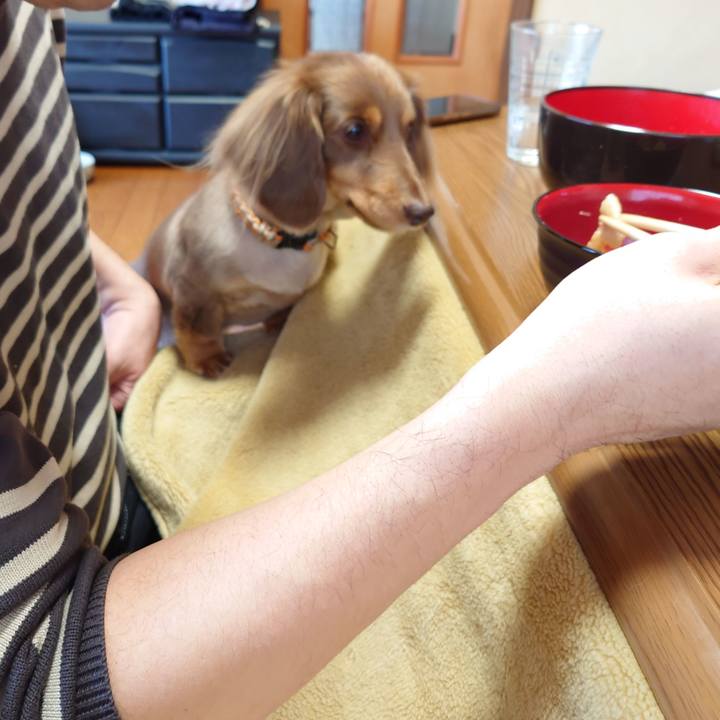 741b8f9e bf1c 4f58 bb5d 84da0245a9af 1704072383217