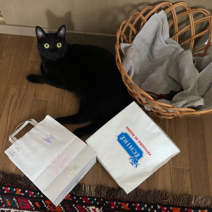 741b9ec2 5815 4ec5 ae36 ffcc5988dea4 1656851577293