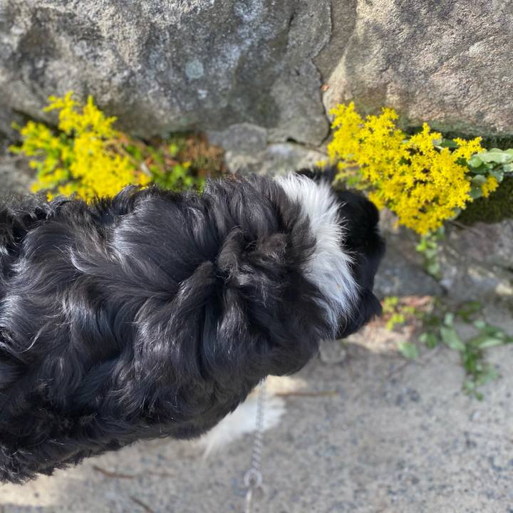 741bde42 688e 40a3 b1ea 2912b3e3bbd9 1620088945884