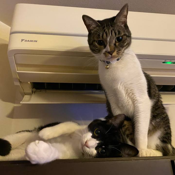 741bec61 956a 4236 99c0 cd0f28a96060 1769207623443