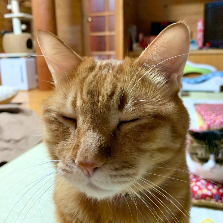 741c21a0 012b 4fc5 846c 6f783ba32ead 1574514683157