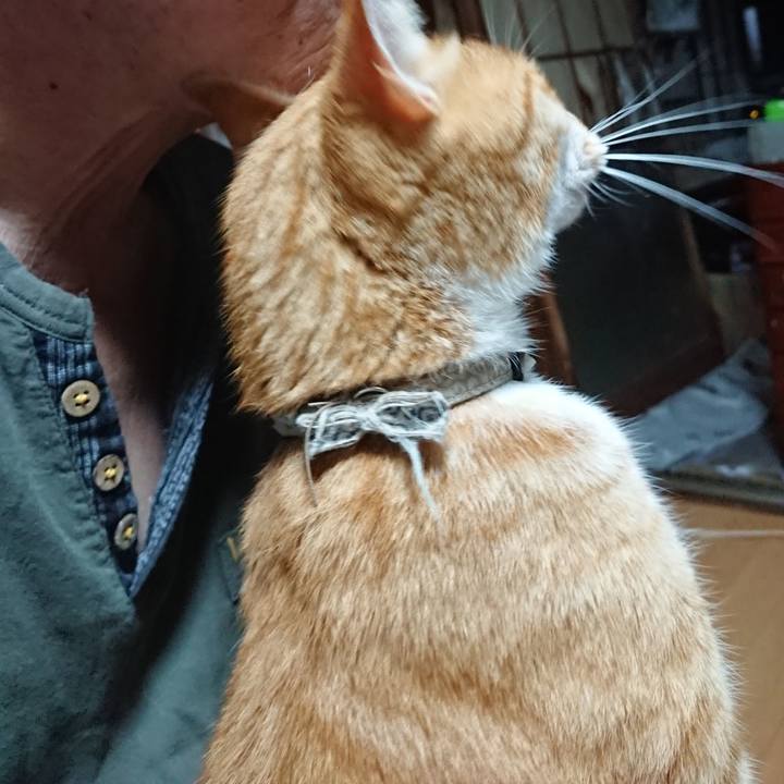 741c9027 9825 4ae3 907a 8864defcb62c 1597005814018