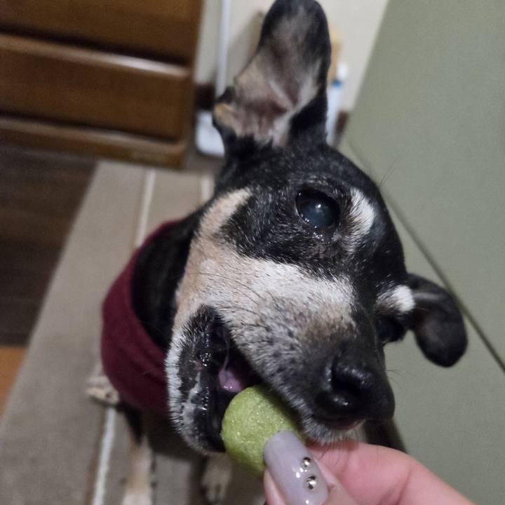 741ccfbd 4928 4c64 9c2f 97e07dce98ff 1763322512510