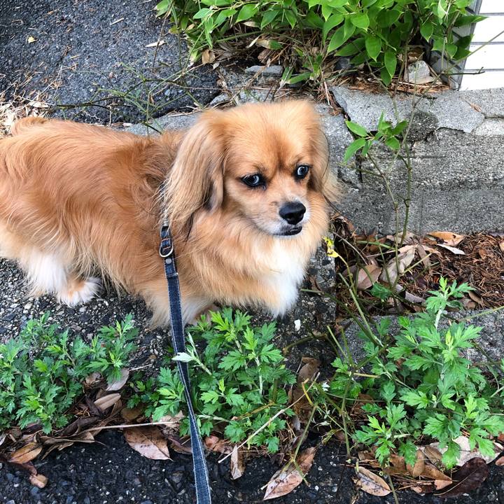 741cffdb 7848 4fc9 b60a a1f3ce828cd0 1567721327409