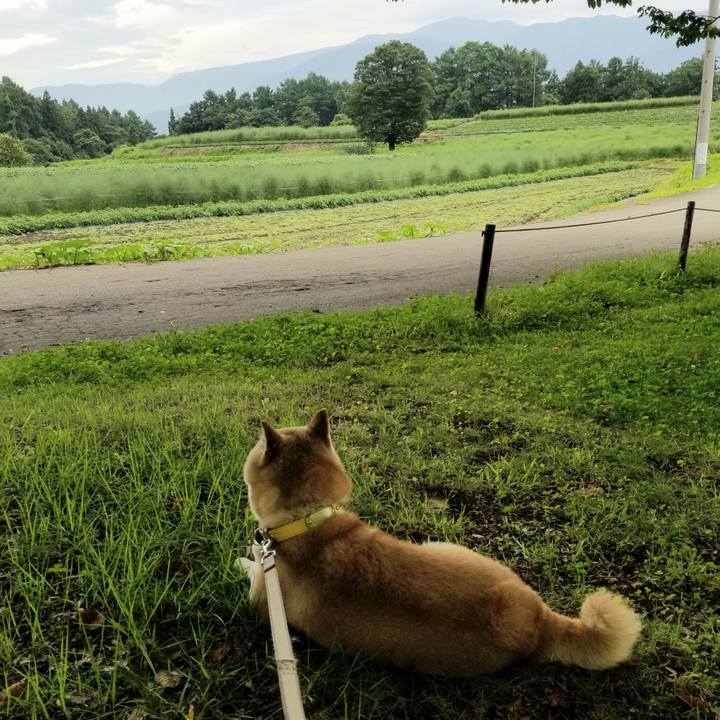 741d0849 f497 4ea8 871e 2e66af73b111 1688786355388