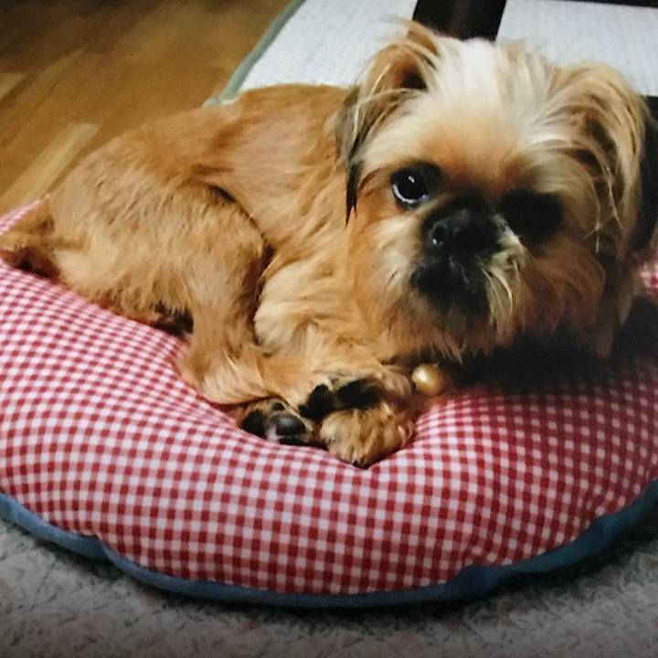 741d3dea dd4e 466e a450 26c5ecd71951 1540639984305