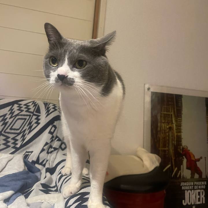 741d62b0 3642 4628 8ff2 44b5f117d114 1739623155023