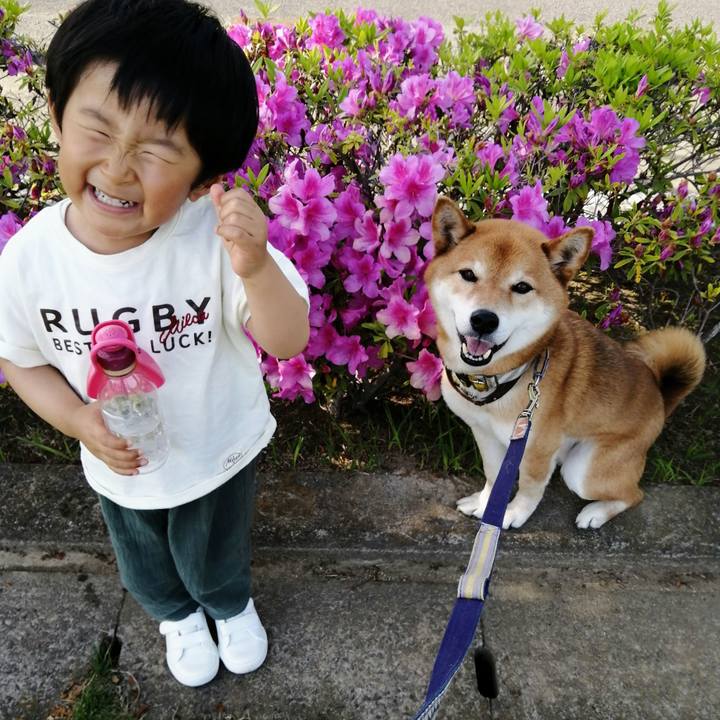 741d6895 f2c1 49e0 89ac 5e0539d61ee9 1619784353311