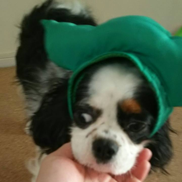 741dcf72 8301 4027 9d1a cb80bf4f2f76 1538895814586