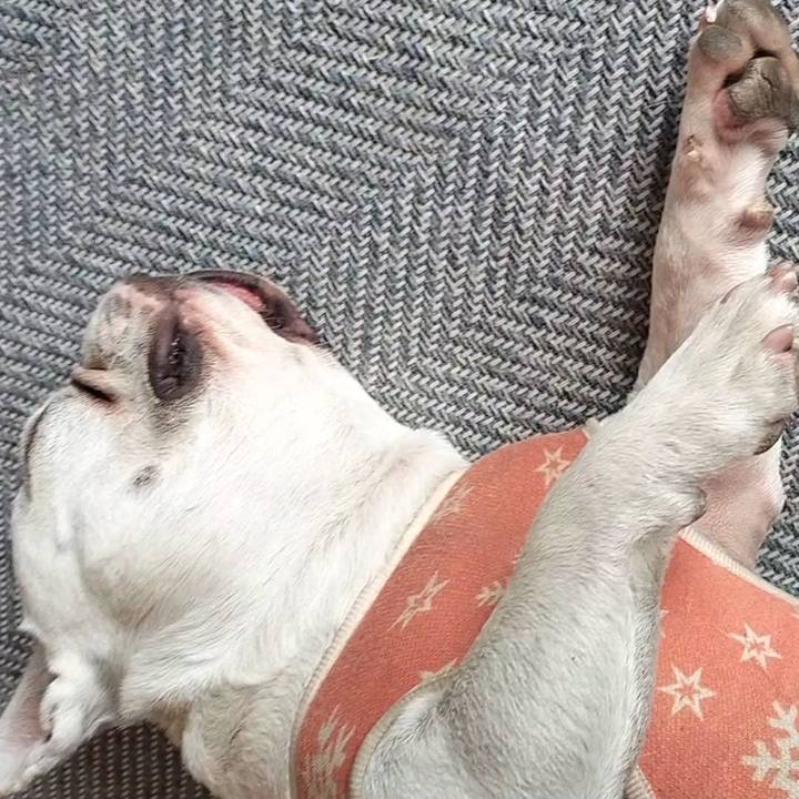 741e257d 37d5 489d a2aa 921d5db04a0e 1678068135338