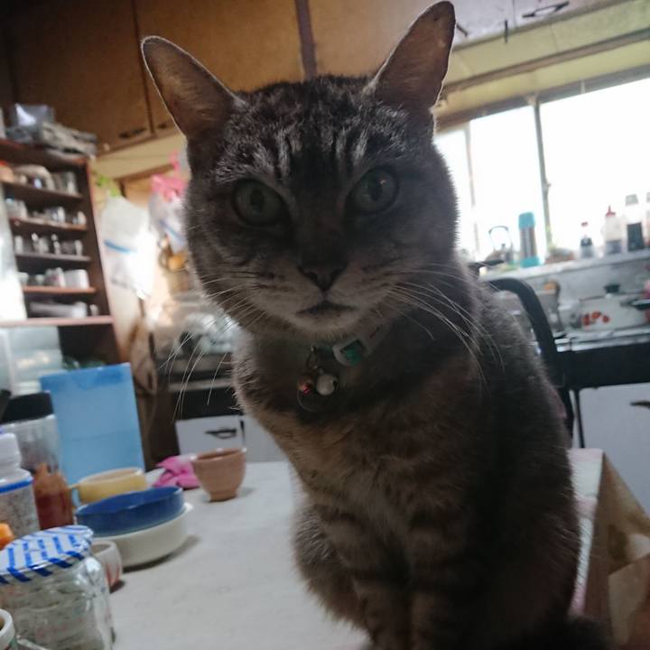 741e3124 68b6 4f70 82f2 aa82cb56b77f 1557607737530