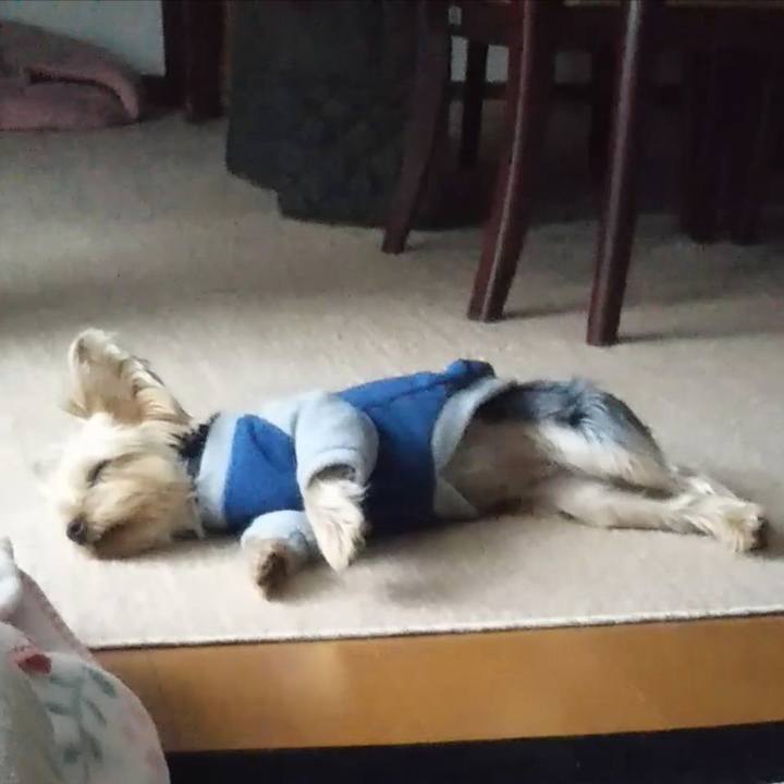 741e6bf6 e18c 4082 bab3 678c06a2963c 1616891002471