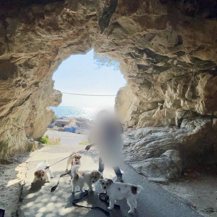 741eabf3 7c81 44b7 ab3c b16da54a9c18 1771761025269